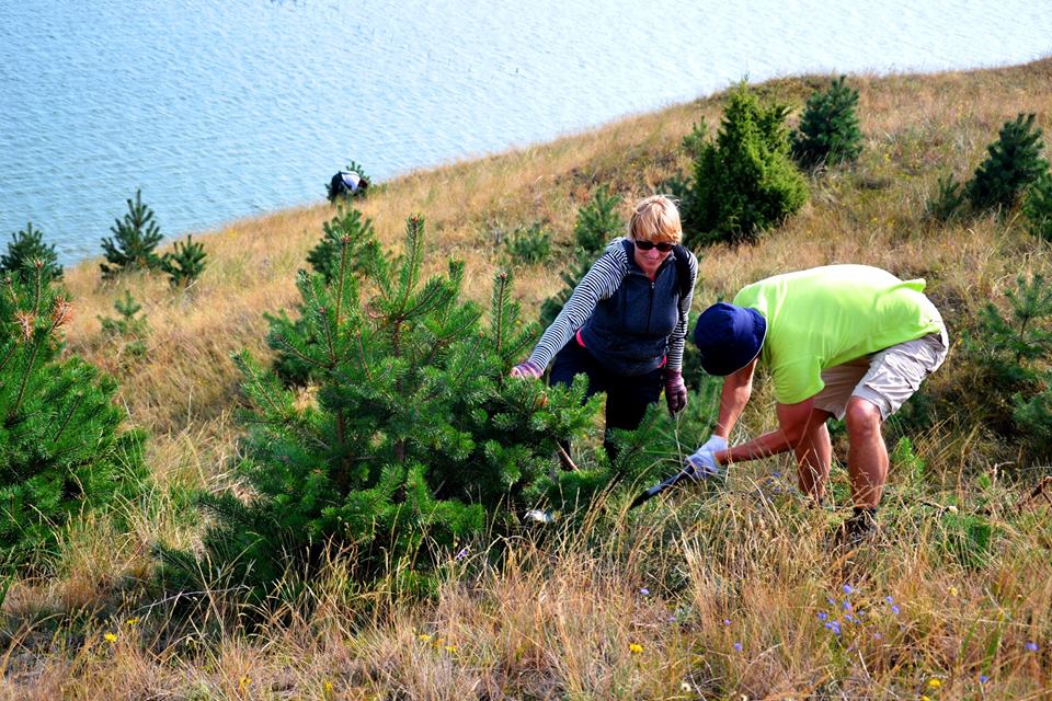 Baltic Blues team members planting pines on a dune above the lagoon